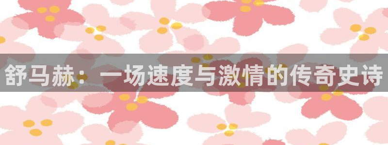 JJB竞技宝官方正版app娱乐网站:舒马赫:一场速度与激情的