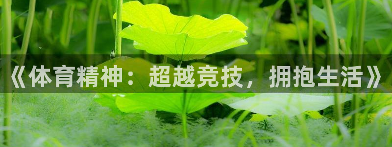 JJB竞技宝官网下载平台假的吗是真的吗:《体育精神:超越竞技