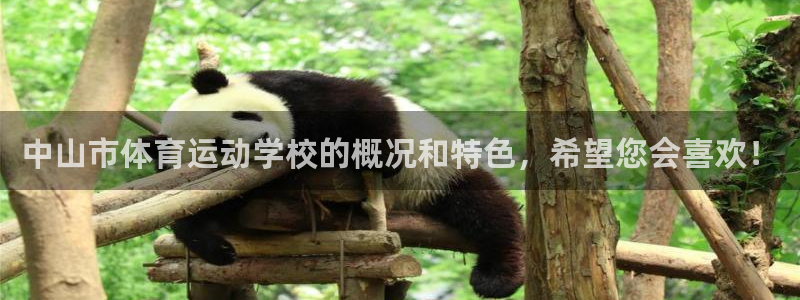 JJB竞技宝官方正版app娱乐首页网站大全:中山市体育运动学