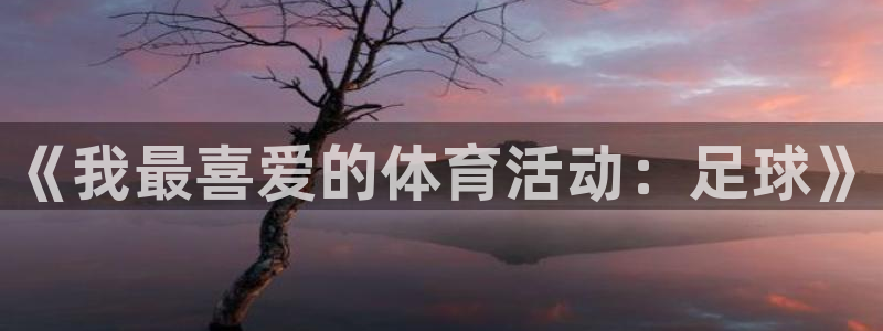 JJB竞技宝官方正版app集团:《我最喜爱的体育活动:足球》